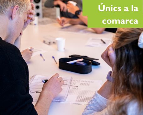 Cursos d'anglès Cambridge homologats KET, PET, FCE i CAE